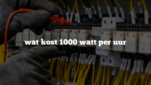 wat kost 1000 watt per uur - Brams installatie - Elektrotechniek