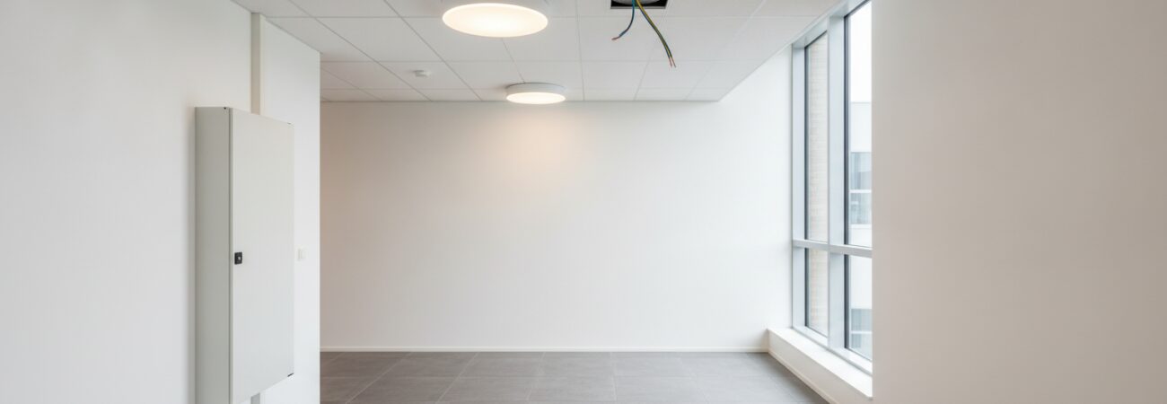 Wat is een plafondlamp vervangen en waarom is het belangrijk?